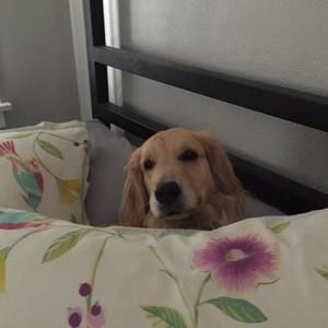 Meet your Posher, Carol